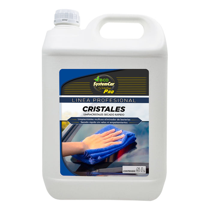 Limpia Cristales EcoSystem